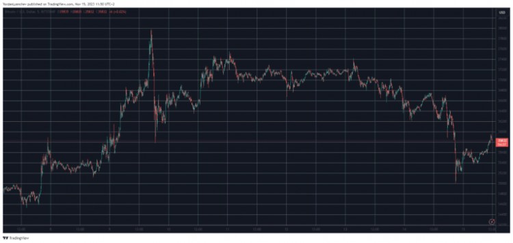 SOL、AVAX 违反市场情绪，BTC 跌至每周低点