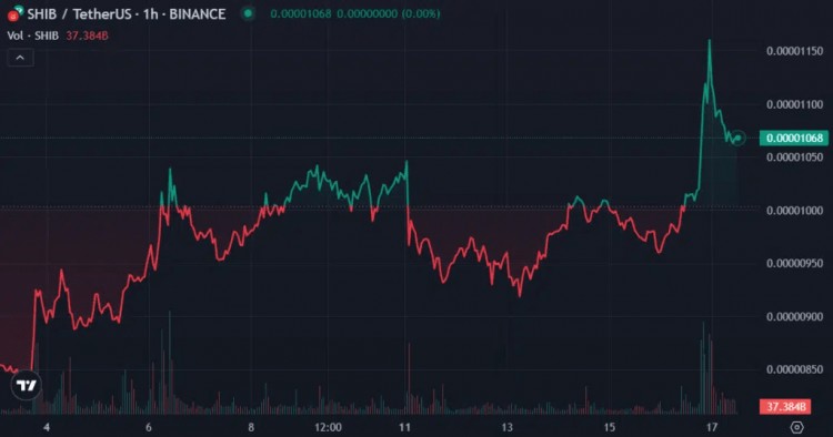 本周最值得注意的加密货币：XRP、ADA、SHIB