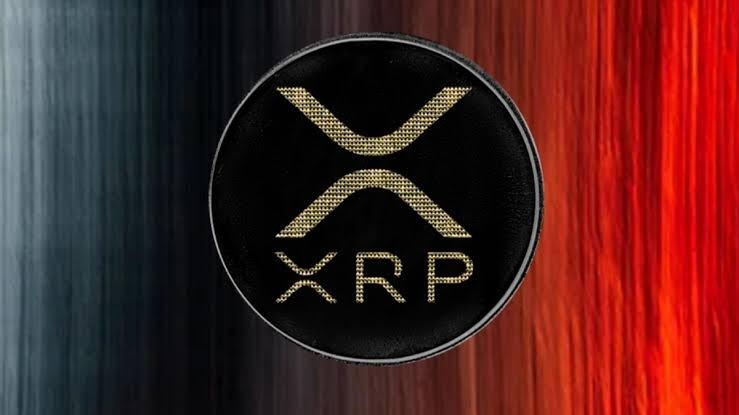 美联储 30,000 美元 XRP 提案：福克斯新闻记者放弃调查线索