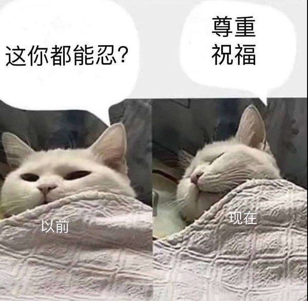 不再对各币发表负面评价