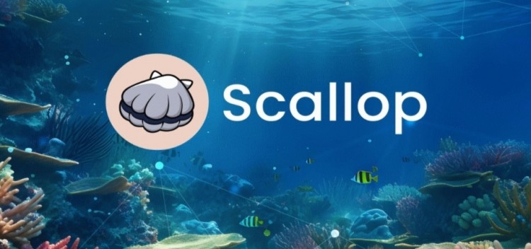 Sui 上 Scallop 协议的崛起：推进 DeFi 创新