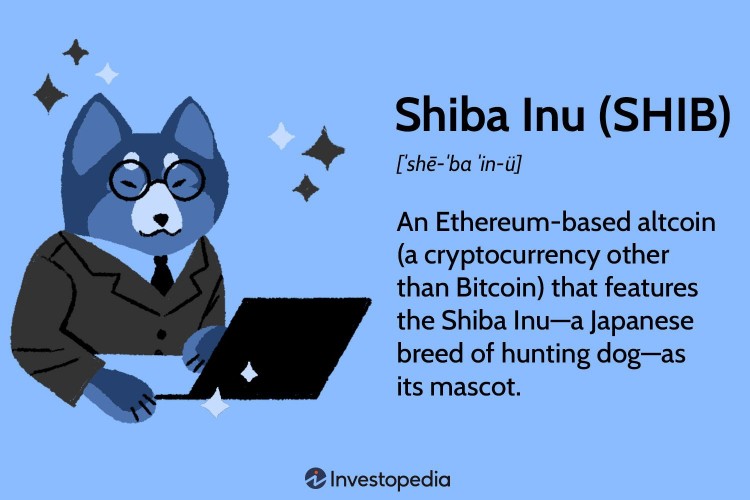 Pepe 和 Shiba Inu 因价格大幅波动而备受关注。