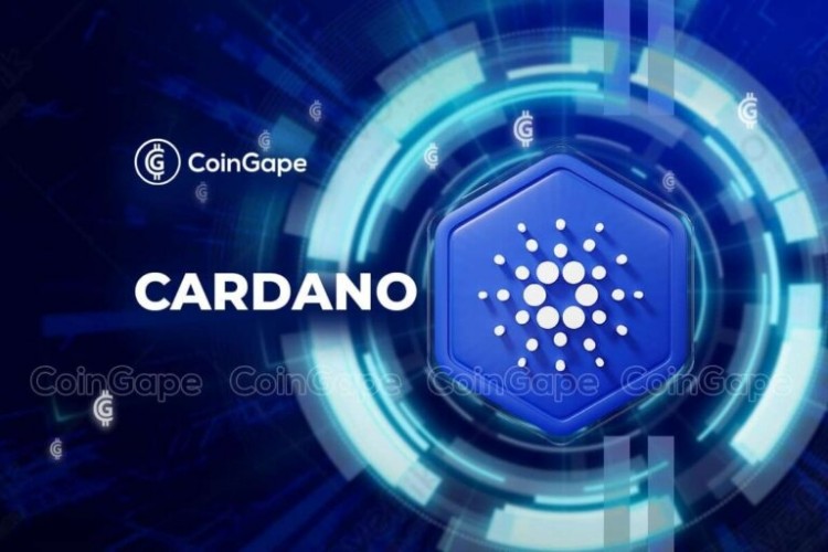 New CTO to Expand Cardano Product Line