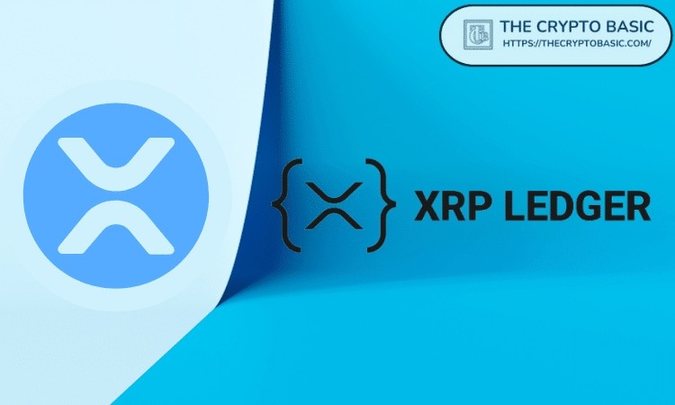 XRP账本爆炸增长，AMM TVL在17天内飙升51%