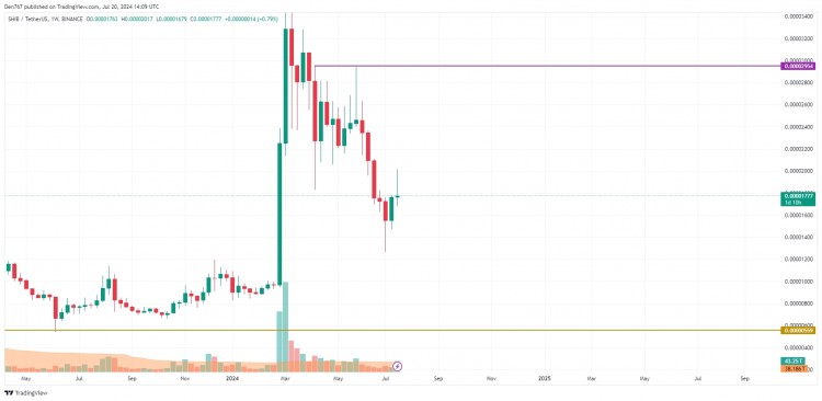 交易员何时可以预期 SHIB 会测试 0.000020 美元大关？