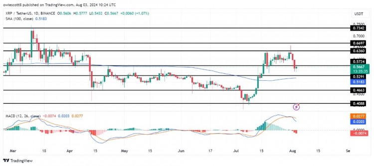 撑位，XRP价格急剧下跌。