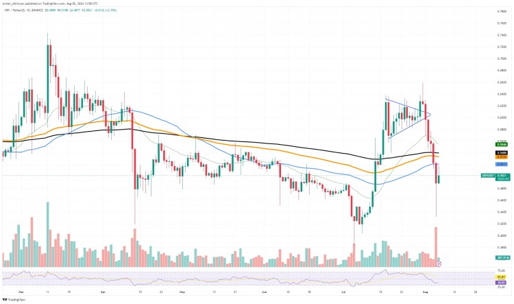 XRP 暴涨：你错过了这次大幅上涨吗？