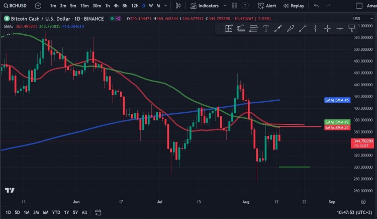 比特币现金 (BCH) 在面临可能对其价格产生负面影响的多种因素时表现坚韧